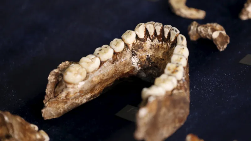 Kosterní pozůstatky Homo naledi