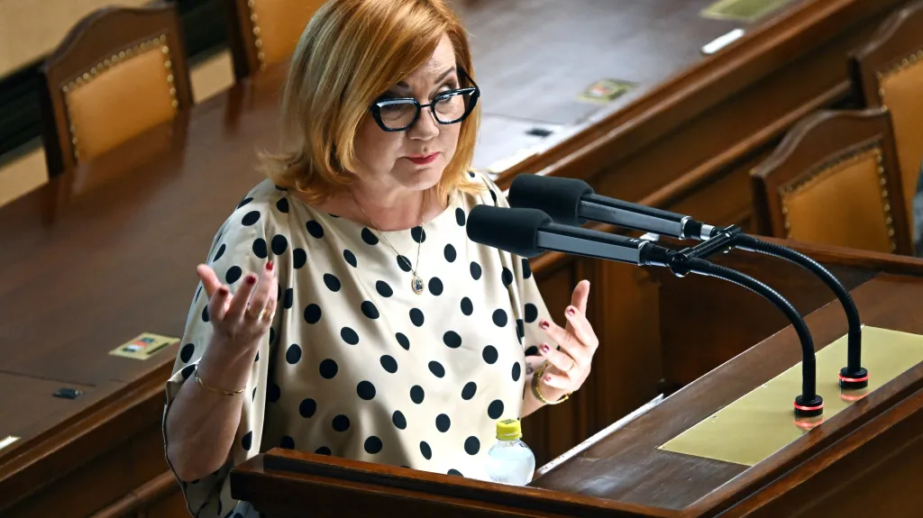 Ministryně financí Alena Schillerová při projednávání EET ve sněmovně
