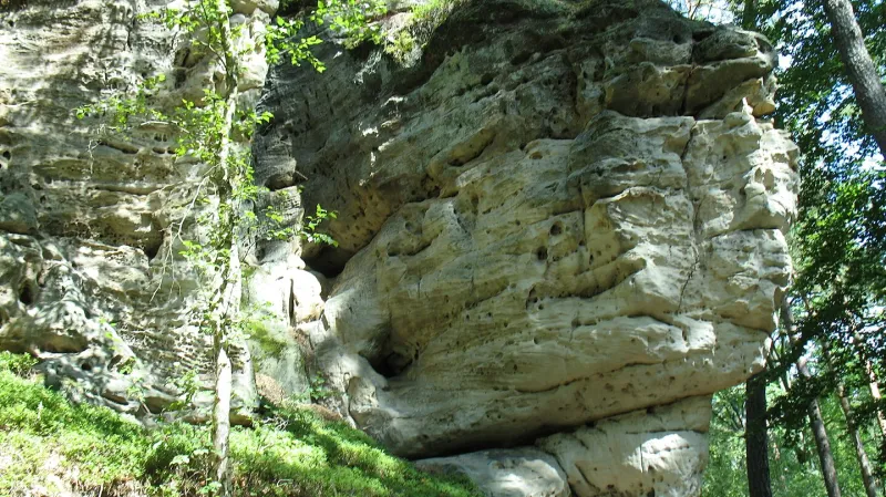 Přírodní rezervace Apolena