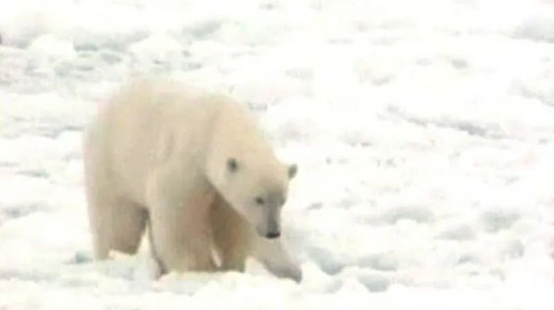 Reportáž Barbory Kladivové