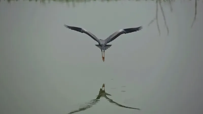 Ahaheho fotografie jsou jednoduché, ale mají zvláštní kouzlo