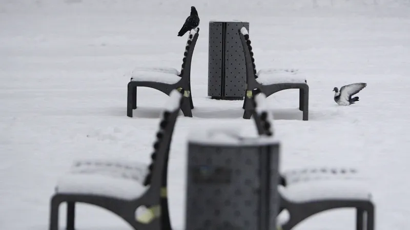 Zasněžený park v Plzni