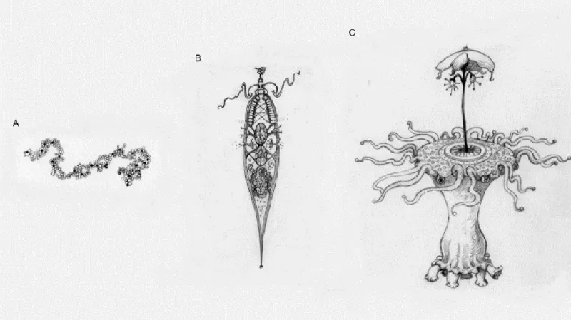 Narůstající komplexicita u teoretického mimozemského organismu