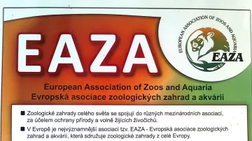 Brněnská zoo je členem asociace EAZA