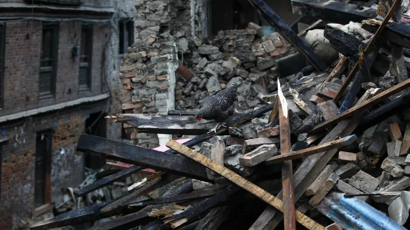 Následky zemětřesení v Nepálu