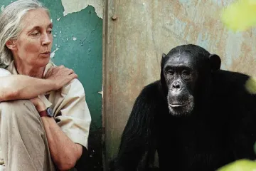 Zemřela bioložka Goodallová. Lidstvu přiblížila šimpanze