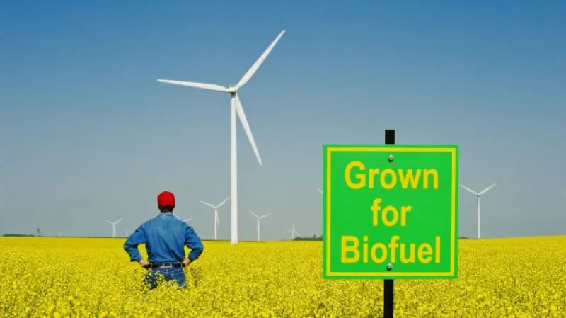 Výroba biopaliv ze zemědělských plodin se omezí