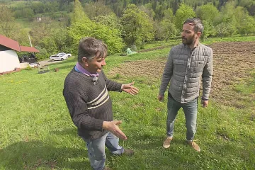 Šelma v Beskydech už dvakrát zaútočila na ovce, zda to byl medvěd není jisté