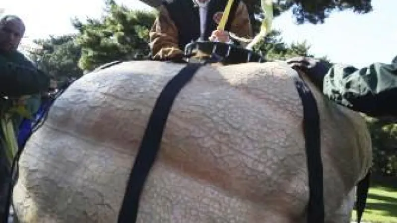 Nejtěžší dýně váží 821,24 kilogramu