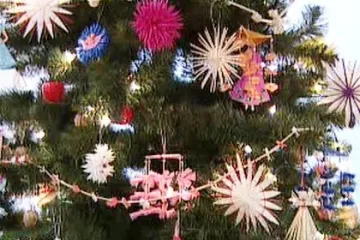 Jak vybrat vánoční stromeček?