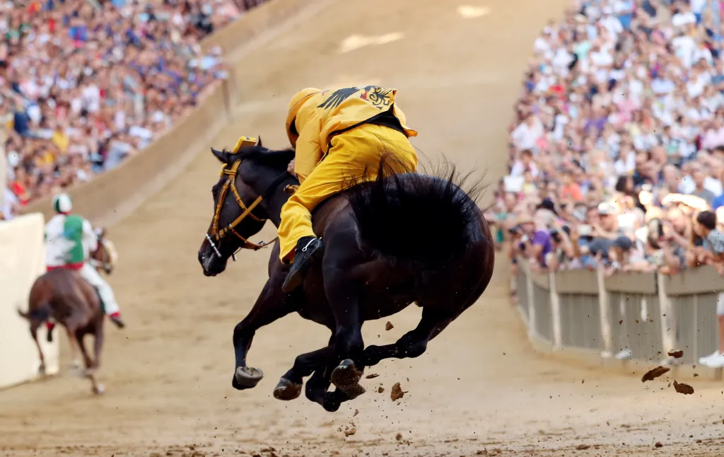 Udržet se na neosedlaných koních je umění, časteji tak prudké zatáčky nezvládnou hlavně žokejové. K vítězství ale na koních nutně potřeba nejsou.