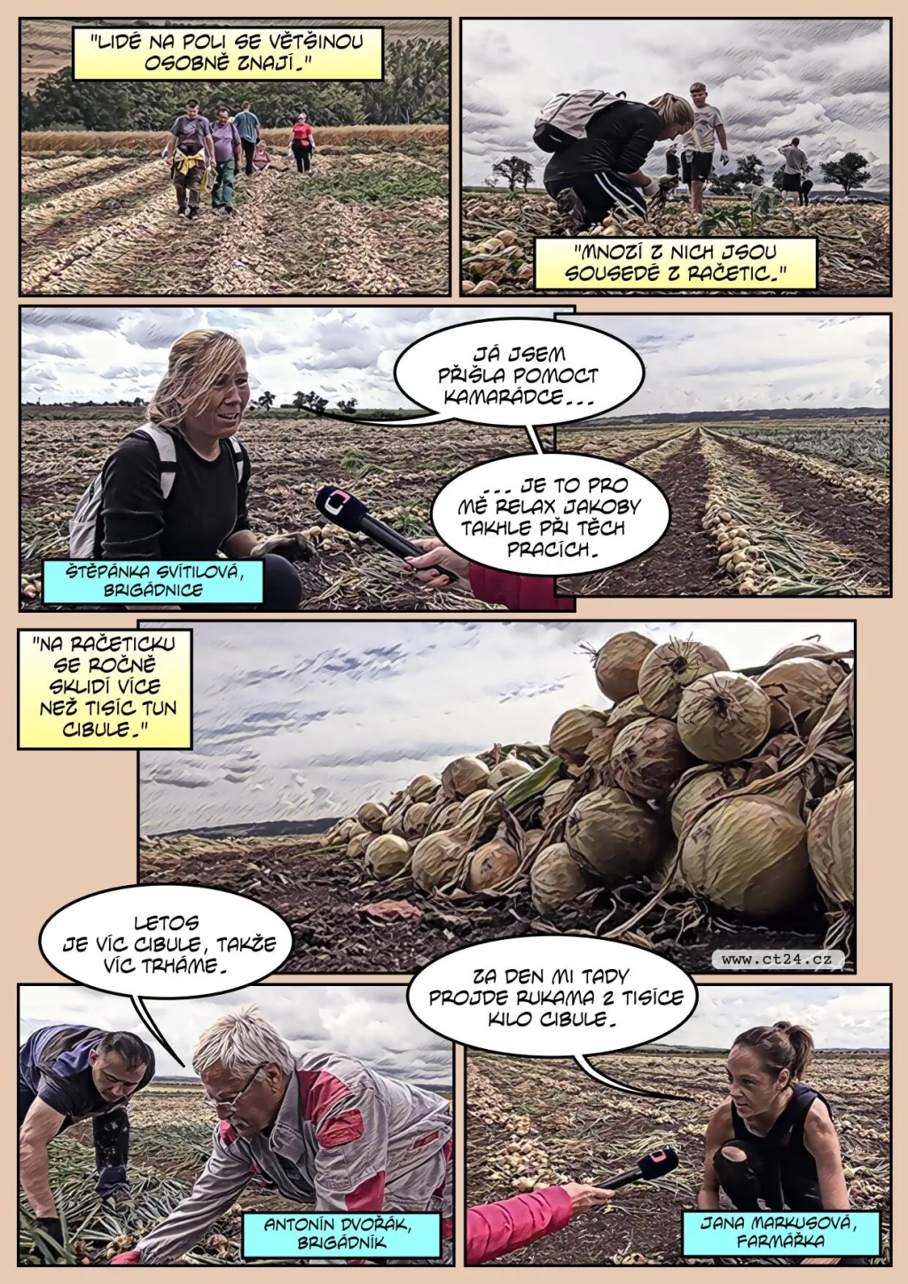 Deštivé počasí narušilo sklizeň cibule