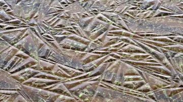 Zelený led na Lipně