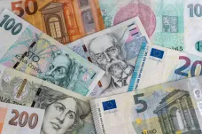 Euro místo koruny? Překážkou zůstává rozdíl v ekonomické úrovni Česka a eurozóny, uvádí ČNB
