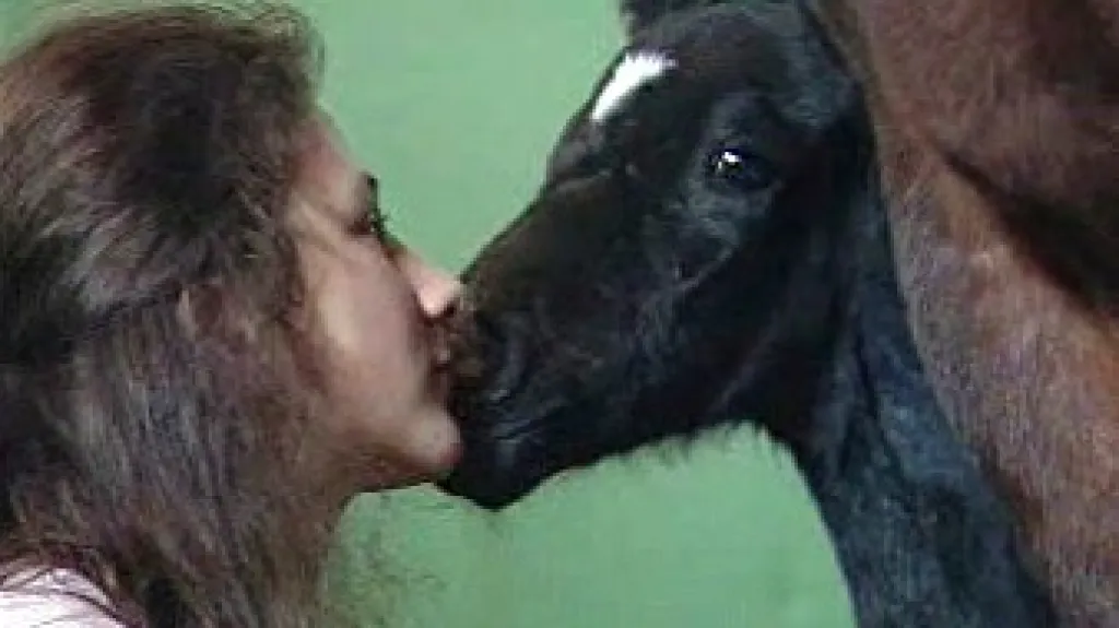 Unikátní chorvatské hříbě