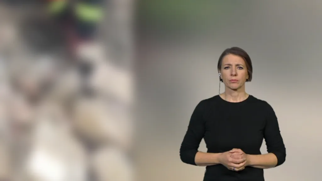 Tlumočnice do znakového jazyka Naďa Hynková Dingová