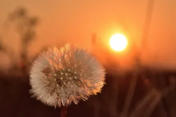 Počasí jako na jaře. Na řadě míst padaly v pátek teplotní rekordy
