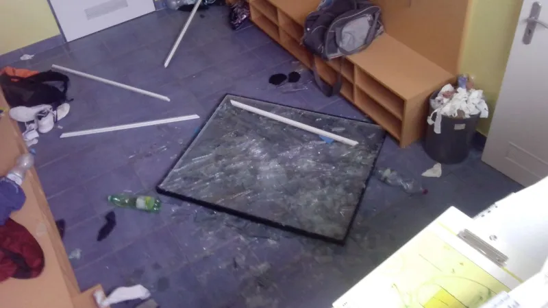 Divočák proběhl uzavřeným skleněným oknem do budovy školy
