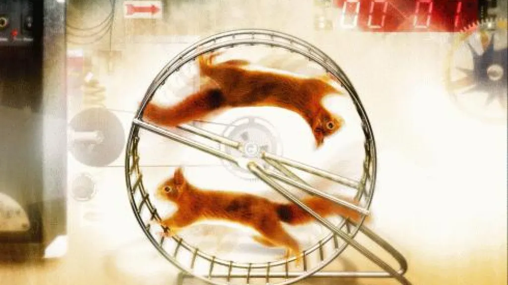 Wohnout: Karton veverek