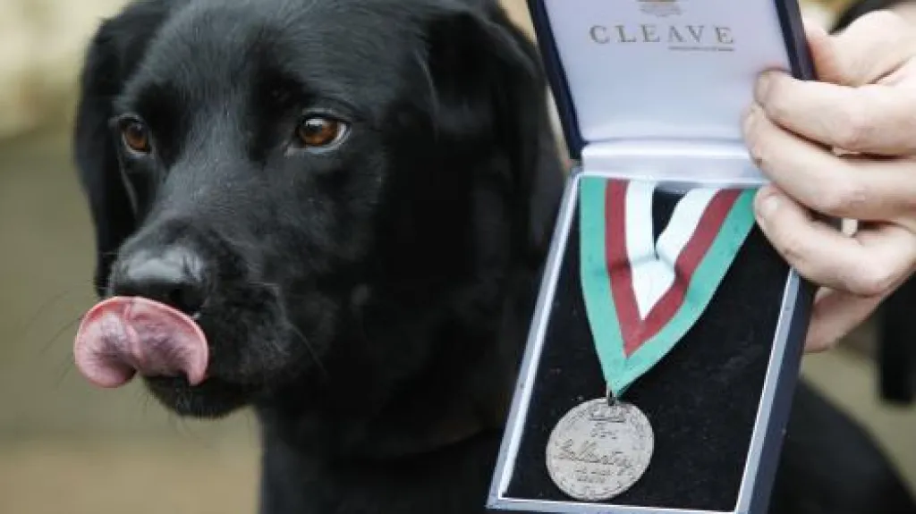 Treo se svou medailí