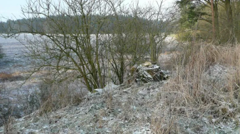 Vydry se hojně vyskytují na Třeboňsku