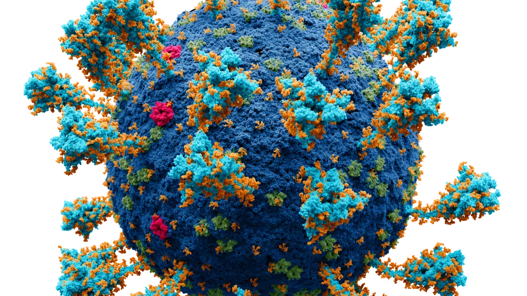 Virus SARS-CoV-2