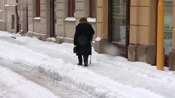 Zasněžený chodník