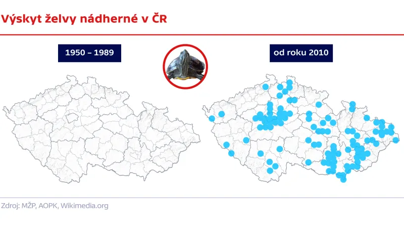 Výskyt želvy nádherné v ČR