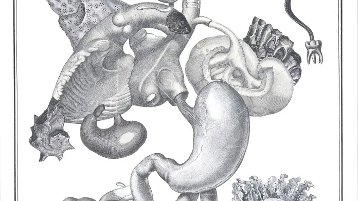 Z výstavy Cosi tísnivého: Surrealismus a grafický design (Mezinárodní bienále grafického designu v Brně 2010)