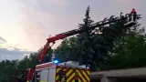 Odstraňování následků bouřky v Olomouckém kraji