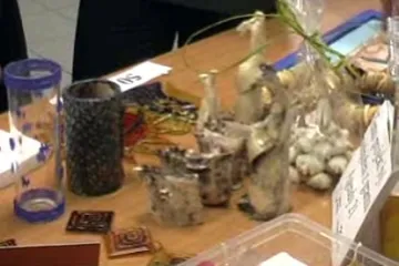 ZŠ Na Kopcích ovládla charita