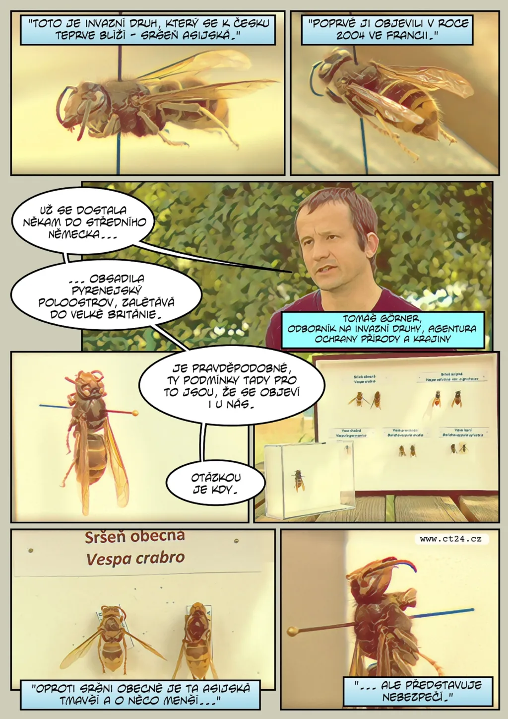 Česko čelí šíření invazivních druhů