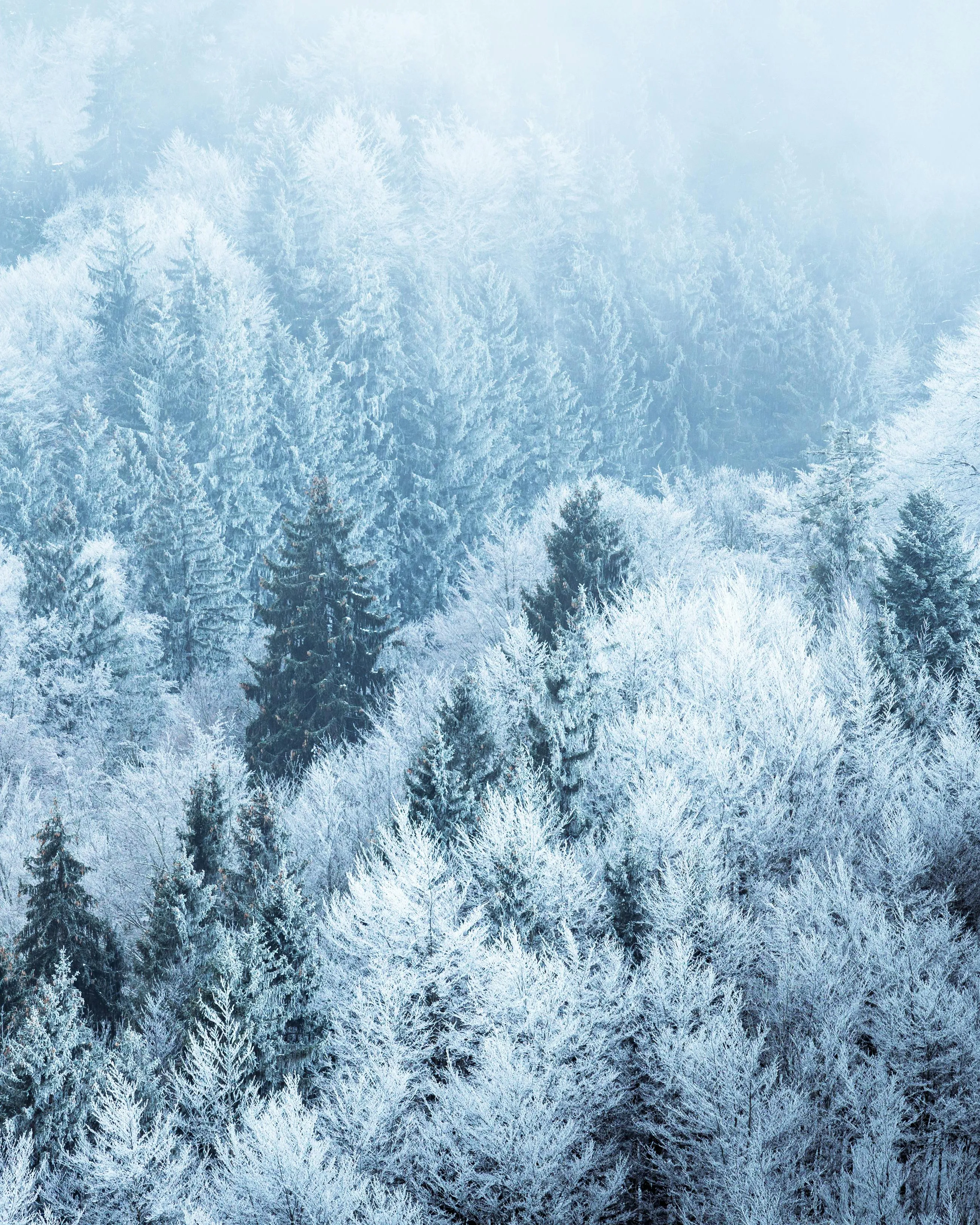 Výstraha ČHMÚ: Na Šumavě až dvacet centimetrů sněhu, silný vítr na východě Česka