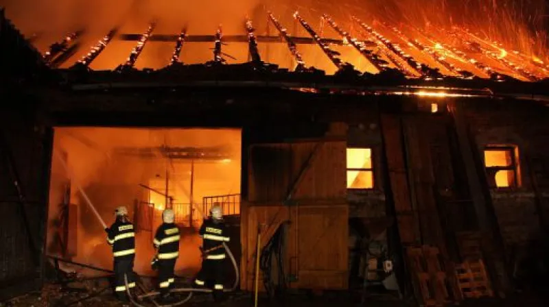 Dívka se policistům přiznala