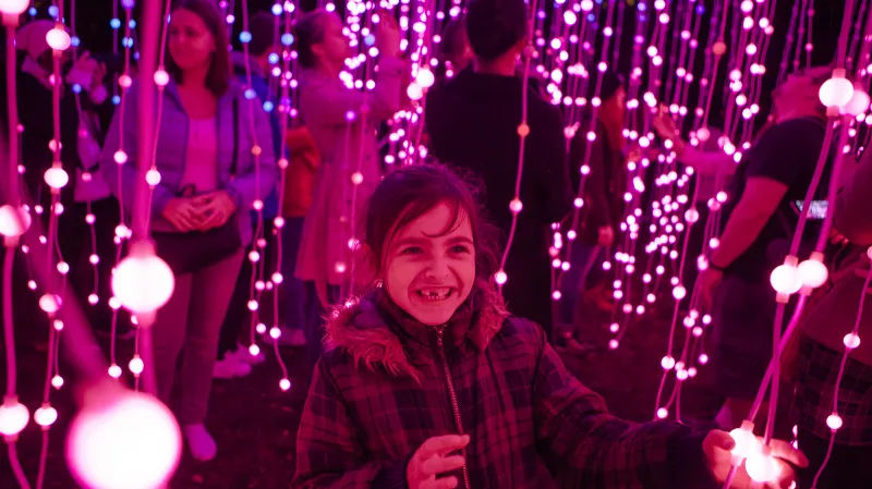 Festival Signal 2017: Submergence (Riegrovy sady)