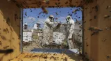 Palestinští včelaři sbírají med na farmě ve městě Rafah v jižní části pásma Gazy