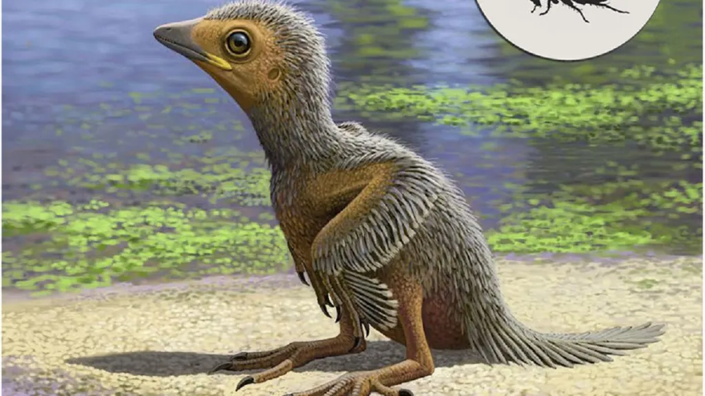 Enantiornithes