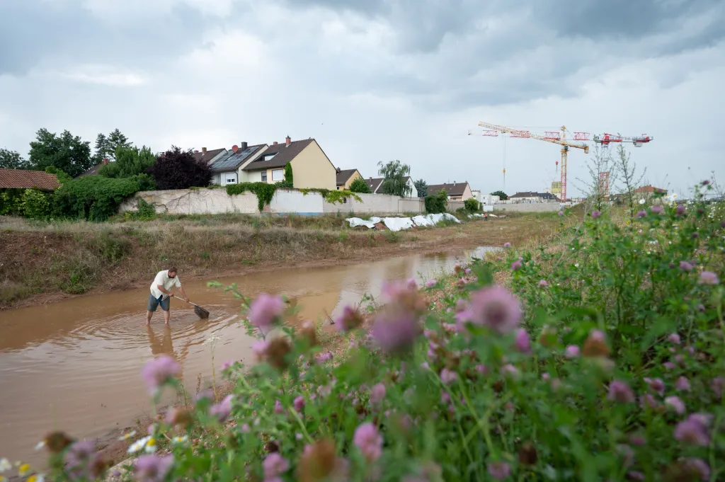 Německý biolog Marco Wagemann chytá obojživelníky a plazy ve městě Landau, v místě, kde má vzniknout nová zástavba. Drobná zvířata následně přemisťuje do vhodnějších lokalit