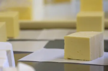 Ceny mléka i másla spadly nejníž za několik let. I díky čínským clům