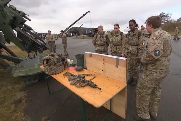 Dánky nejspíš budou muset povinně na vojnu
