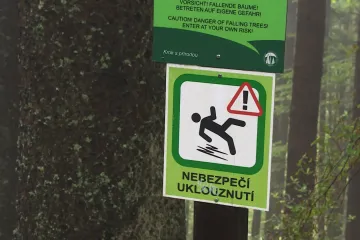 Turisté se k nejvyššímu vodopádu na české straně Šumavy po stezce nedostanou, opravuje se