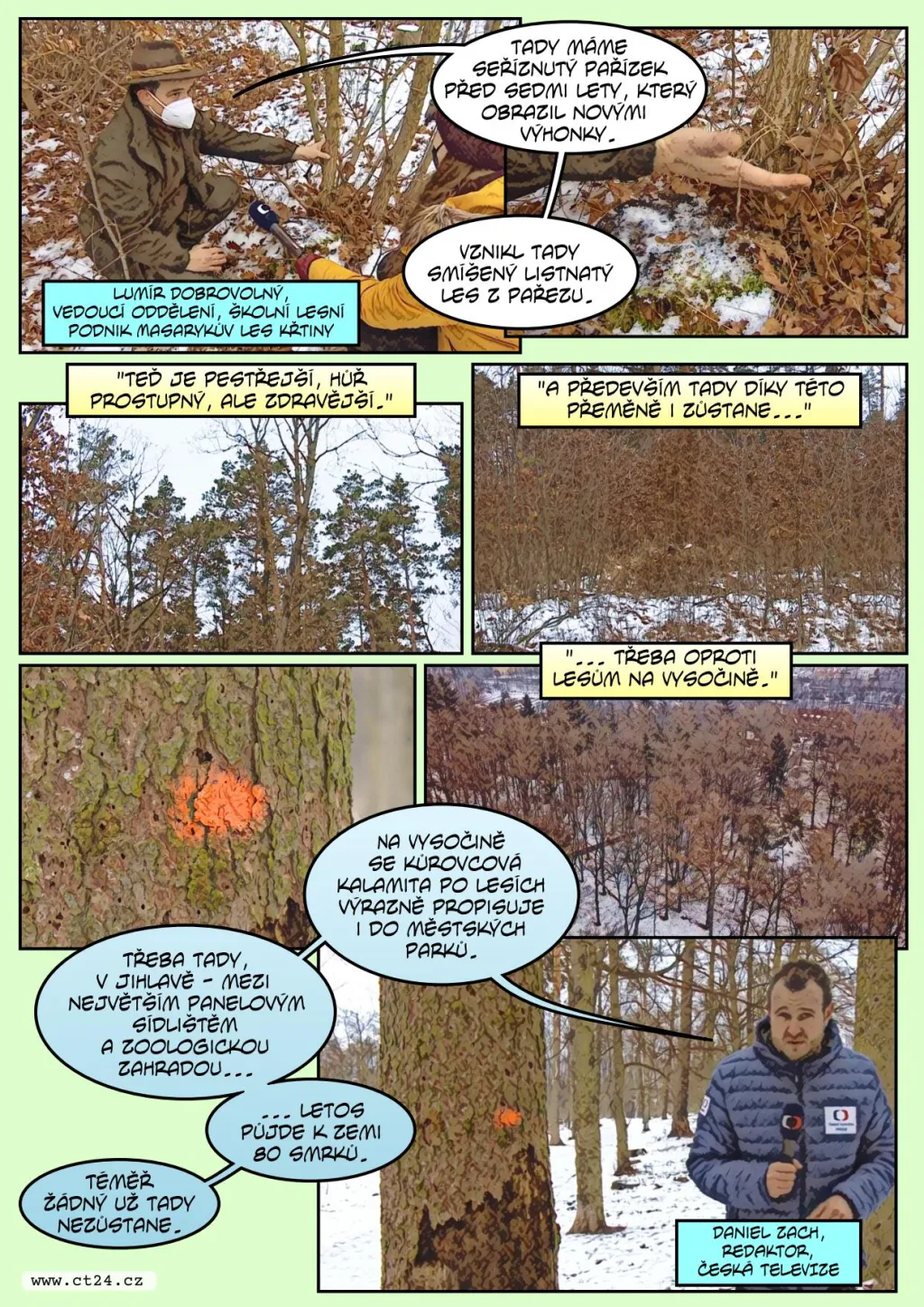 Pokácením lesa k jeho záchraně. Díky obrážení pařezů by měl být nový porost odolnější