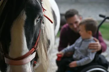 V Bohuslavicích finišuje zkoumání vlivu hipoterapie na nemocné děti. Má potvrdit efektivitu metody