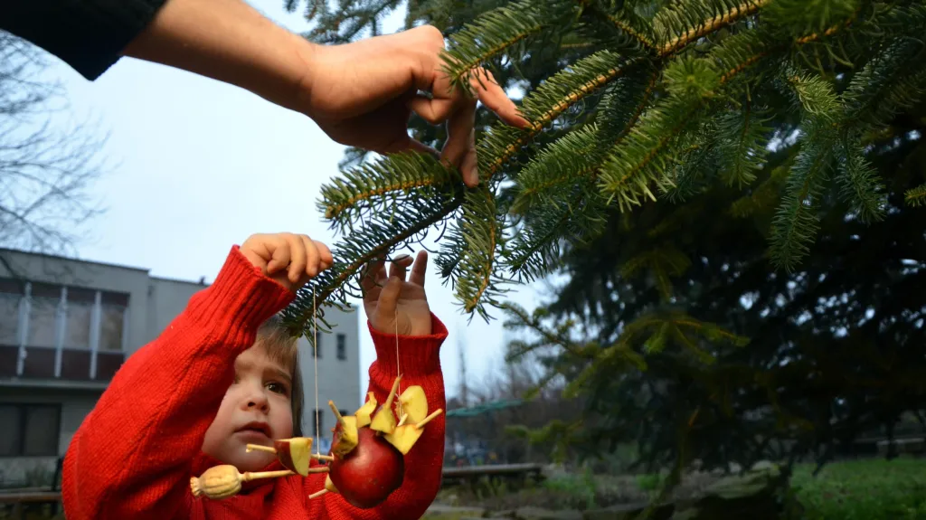 Děti mohly své ozdoby pověsit na jedli před stanicí