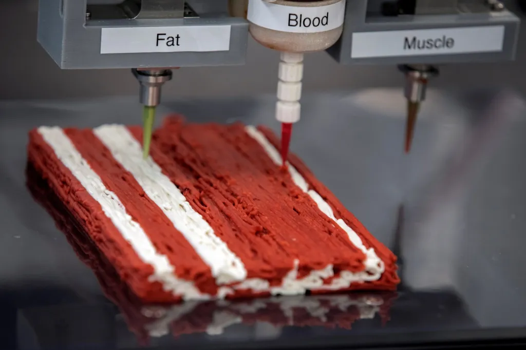 Steak z tiskárny. Vědci v Izraeli usilovně pracují na „pěstování“ nového druhu stravy. Za pomoci vývoje proteinu a 3D tiskárny jsou schopni vytisknout reálný kus masa