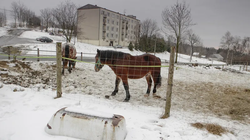 Nový rok 2016 začal zpřístupněním divočiny čtyř zrušených vojenských újezdů. Armádou spravované a zanedbané obce přešly po 60 letech pod civilní správu. Vojenský újezd s civilními obyvateli byl dosud možný pouze v Česku.