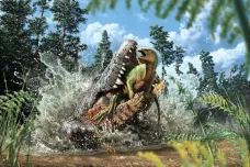 Pravěký krokodýl spolykal dinosaura, brzy poté byl také mrtvý. Vědci popsali unikátní objev