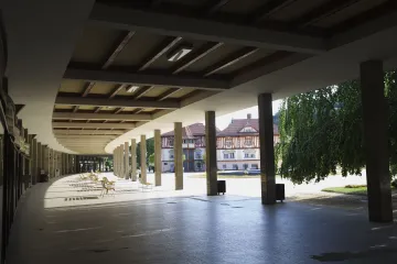 Morava ve Vídni: Stavby, lidé, cesty