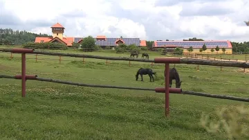 Olšanská farma chová řadu zvířat