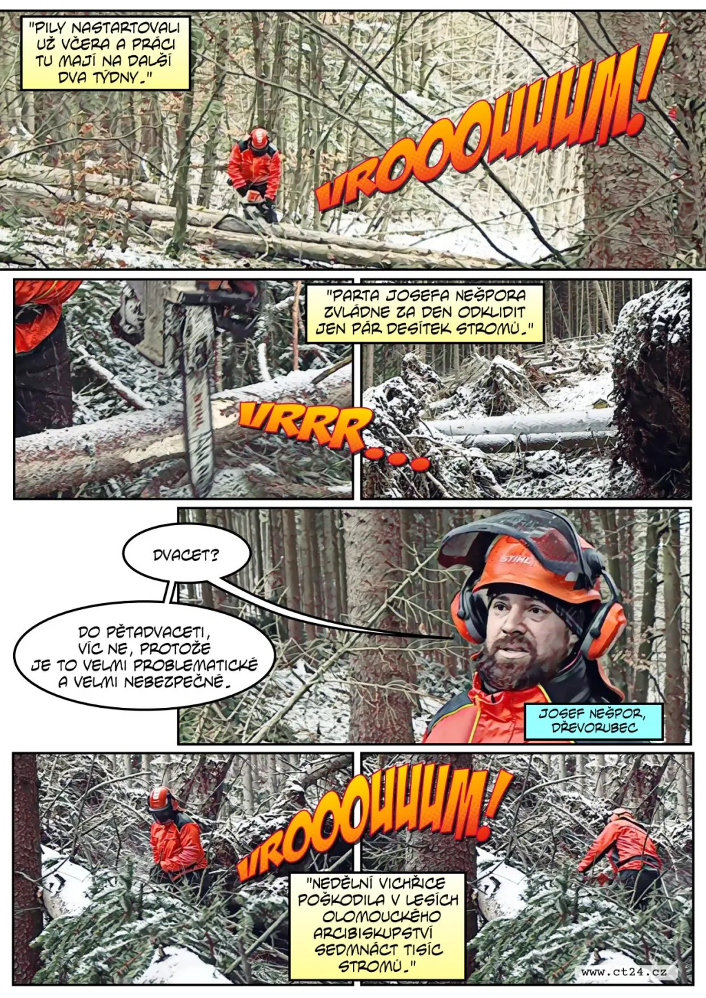 Následky silného větru v lesích